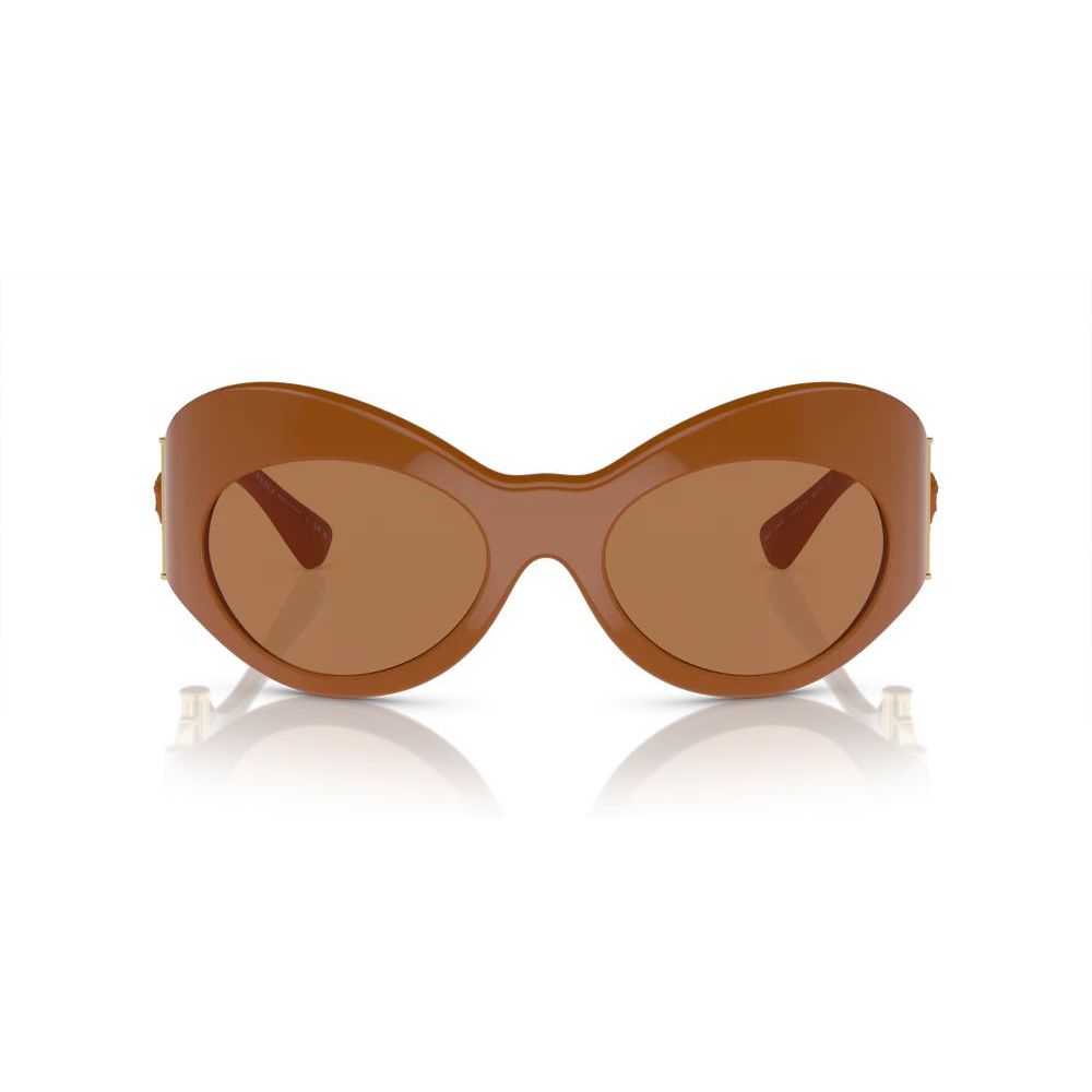 Versace Brown Acetate Sunglasses